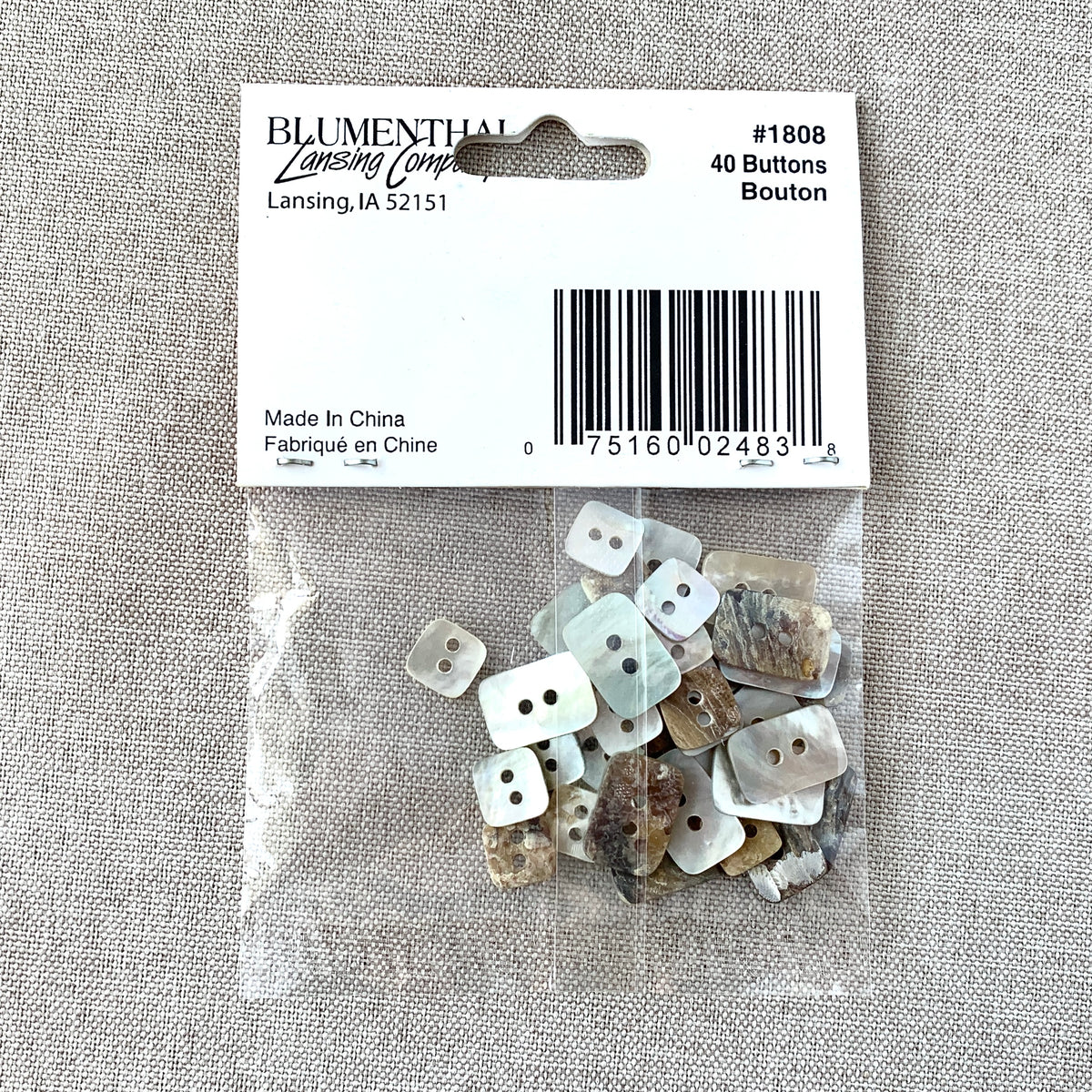 1808 Shell - Shellz - 2 Holes - Assorted Sizes - Natural – The Attic ...