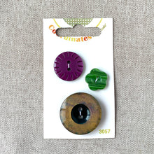 Load image into Gallery viewer, 3057 - Coordinates - 2 Hole - Assorted Sizes - Brown, Purple, Green